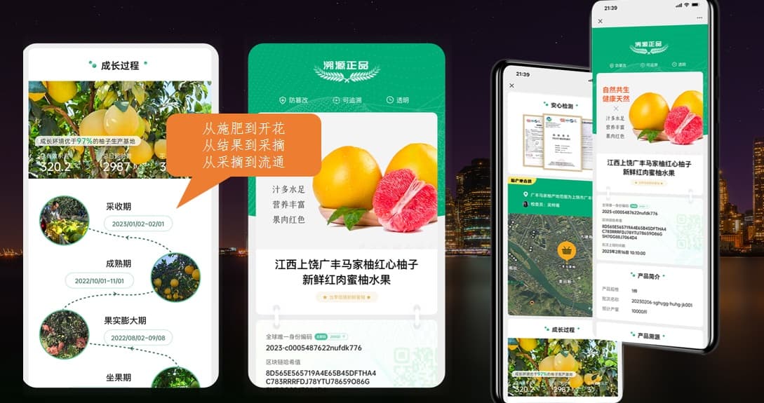 全链路产品追溯系统部署示意图,产线赋码与扫码追溯一体化
